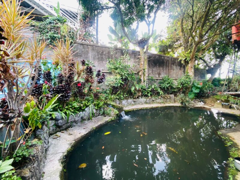 Sewa Villa Cimacan 1 – 4 Kamar & Kolam Renang